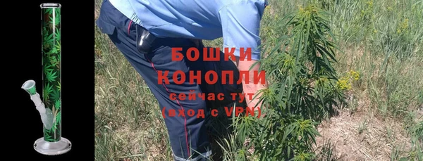 крисы Сосновоборск